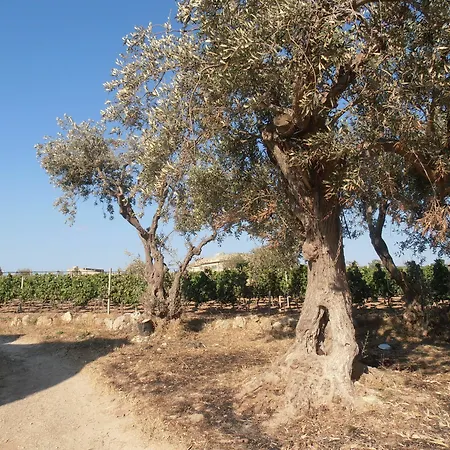 Ciriga Sicily Glamping 5*